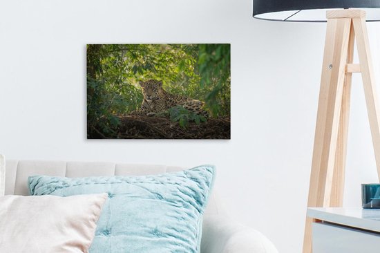 Een jaguar met gevlekte vacht rust in een dichtbegroeide jungle, omringd door groene bladeren en zonlicht.
