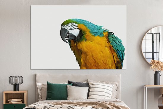 Perroquet devant toile de fond blanc 2cm 180x120 cm - Tirage photo sur Toile (Décoration murale salon / chambre) / Animaux sauvages Peintures sur toile XXL / Groot format!