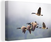 Les oies volent dans les airs dans la brume 180x120 cm - Tirage photo sur toile (Décoration murale salon / chambre) XXL / Groot format!