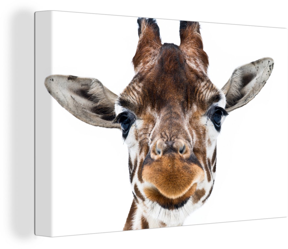 Canvas Schilderij Van dichtbij weergeven giraffe kop - 30x20 cm - Wanddecoratie op Prijzenvolger.com