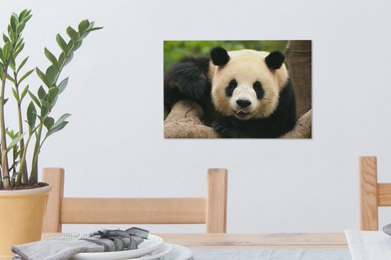 Canvas schilderij 30x20 cm - Wanddecoratie Dieren - Panda - Bomen - Muurdecoratie woonkamer - Slaapkamer decoratie - Kamer accessoires - Schilderijen op canvas