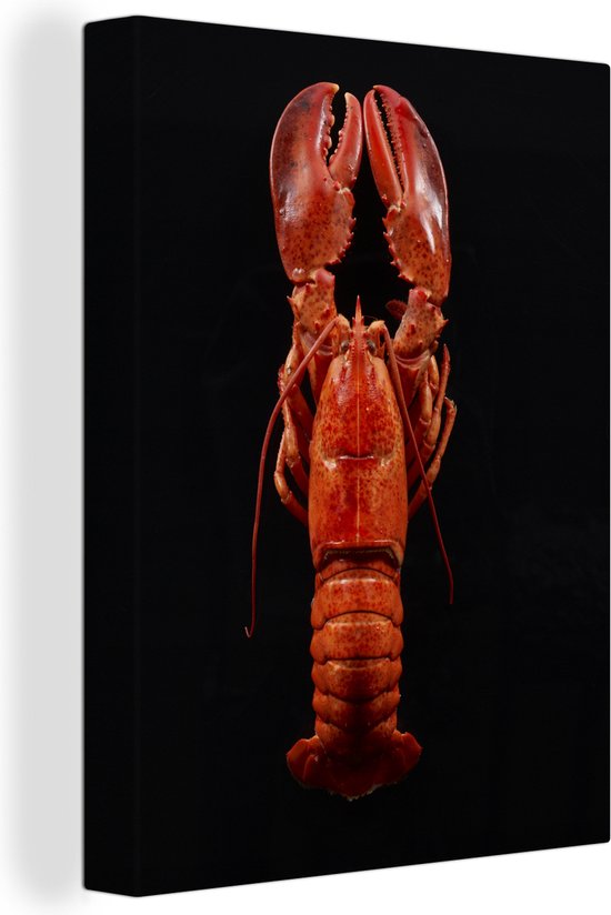Homard cuit à la vapeur sur une toile de fond noir 2cm 30x40 cm - petit - Tirage photo sur toile (Décoration murale salon / chambre) / Animaux sauvages Peintures sur toile