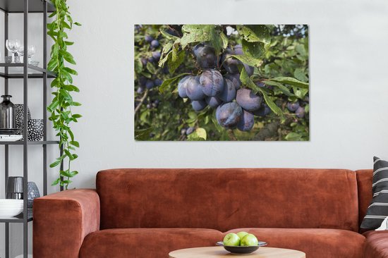 Arbres avec un bouquet de prunes accroché sur toile 2cm 120x80 cm - Tirage photo sur toile (Décoration murale salon / chambre)