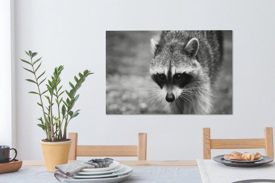 Raton laveur à la chasse sur toile 2cm 90x60 cm - Tirage photo sur toile (Décoration murale salon / chambre) / Peintures sur toile animaux sauvages