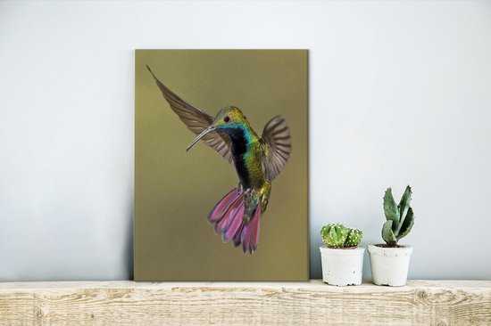 Colibri coloré à la recherche de nourriture sur toile 2cm 30x40 cm - petit - Tirage photo sur toile (Décoration murale salon / chambre)