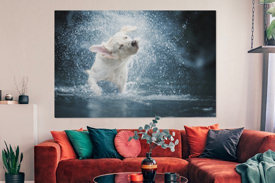 Canvas schilderij 150x100 cm - Wanddecoratie Labrador schudt water van zich af - Muurdecoratie woonkamer - Slaapkamer decoratie - Kamer accessoires - Schilderijen