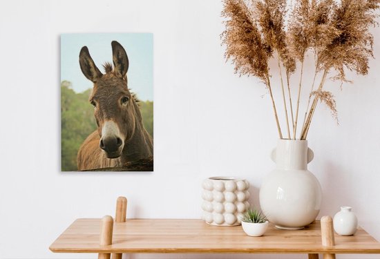 Peintures sur toile - Gros plan d'un âne marron - 20x30 cm - Décoration murale