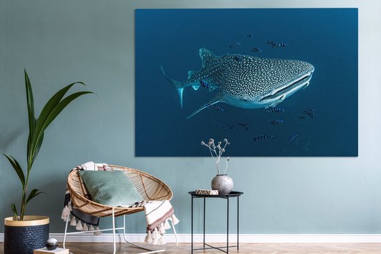 Tableau sur toile Un requin baleine à pois - 150x100 cm - Décoration murale