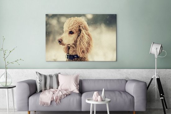 Caniche Witte dans la neige 140x90 cm - Tirage photo sur toile (Décoration murale salon / chambre) / Peintures sur toile pour Animaux domestiques