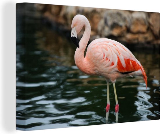 Canvas schilderij 140x90 cm - Wanddecoratie Een flamingo staat in het water voor de rotsen - Muurdecoratie woonkamer - Slaapkamer decoratie - Kamer accessoires - Schilderijen