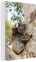 Canvas Schilderij Koala's - Kind - Boom - Kinderen - Jongens - Meiden - 60x90 cm - Wanddecoratie