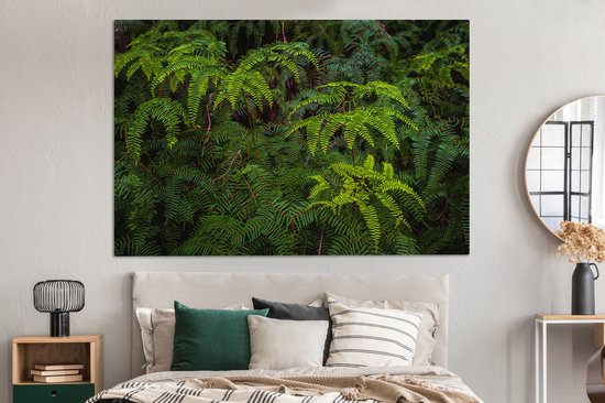Fougères sur fond sombre 180x120 cm - Tirage photo sur toile (Décoration murale salon / chambre) XXL / Groot format!