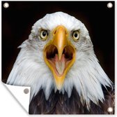 Affiche de jardin - Aigle en gros plan - 120x90 cm