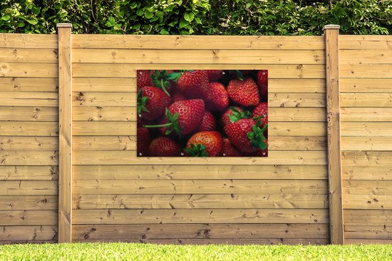Affiche jardin - Toile Posters de jardin extérieur - Fraises - Fruits - Feuilles - 120x80 cm - Jardin