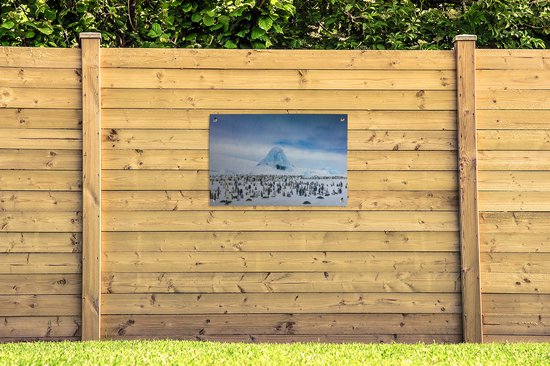 Tuinposter 90x60 cm - Tuindecoratie Pinguïns op Antarctica - Poster voor in de tuin - Buiten decoratie - Schutting tuinschilderij - Tuindoek muurdecoratie - Wanddecoratie balkondoek