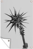 Tuindecoratie Plant met doornen in zwart-wit - 40x60 cm - Tuinposter - Tuindoek - Buitenposter