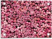 Tuinposter – Muur van Roze Rozen - 40x30cm Foto op Tuinposter  (wanddecoratie voor buiten en binnen)