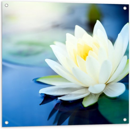 Tuinposter – Witte Lelie op het Water - 80x80cm Foto op Tuinposter  (wanddecoratie voor buiten en binnen)