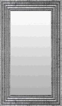 Chique Spiegel Zwart Zilver 69x109 cm –  Svea – Grote Spiegel Duurzaam – Spiegel Zilveren Lijst – Design Wandspiegel Hal –  Perfecthomeshop