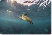 Muismat Schildpad - Schildpad in helder water muismat rubber - 27x18 cm - Muismat met foto