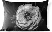 Buitenkussens - Tuin - Zwart-witte close-up van een lichte boterbloem - 50x30 cm