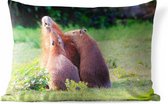 Sierkussen Capibara voor buiten - Een familie Capibara's in een groen gebied - 60x40 cm - rechthoekig weerbestendig tuinkussen / tuinmeubelkussen van polyester