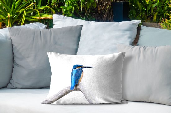 Coussins d'extérieur - Jardin - martin-pêcheur devant fond blanc - 50x30 cm