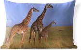 Buitenkussens - Tuin - Drie giraffen in Kenia - 60x40 cm