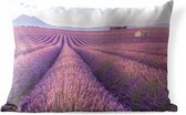 Buitenkussens - Tuin - Uitgerekt paars lavendelveld tussen bergen - 50x30 cm