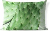 Buitenkussens - Tuin - Barbarije cactusblad mintgroen - 60x40 cm