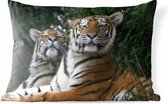 Buitenkussens - Tuin - Twee Siberische tijgers - 50x30 cm