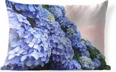 Buitenkussens - Tuin - Hortensia bloemen - 60x40 cm
