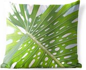 Buitenkussens - Tuin - Een groen botanisch blad in de zon - 60x60 cm