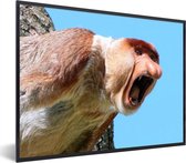 Photo en cadre - Un singe proboscis avec dessus et bec contre un cadre photo ciel bleu 80x60 cm - Affiche sous cadre (Décoration murale salon / chambre)