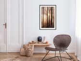 Poster - Morning in the Forest-30x45