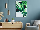 Doe-het-zelf op canvas schilderen - Monstera Adansonii-40x60