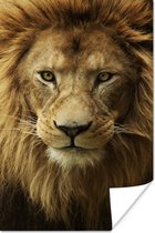 Portret van een Afrikaanse leeuw 80x120 cm - Foto print op Poster (wanddecoratie woonkamer / slaapkamer)