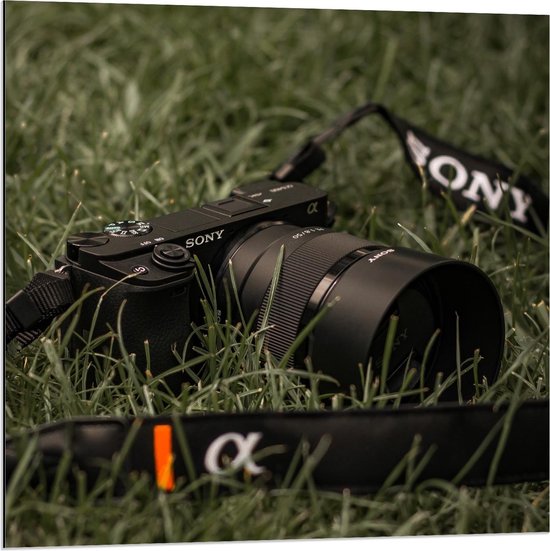 Dibond - Sony Camera in het Gras - 80x80cm Foto op Aluminium (Met Ophangsysteem)