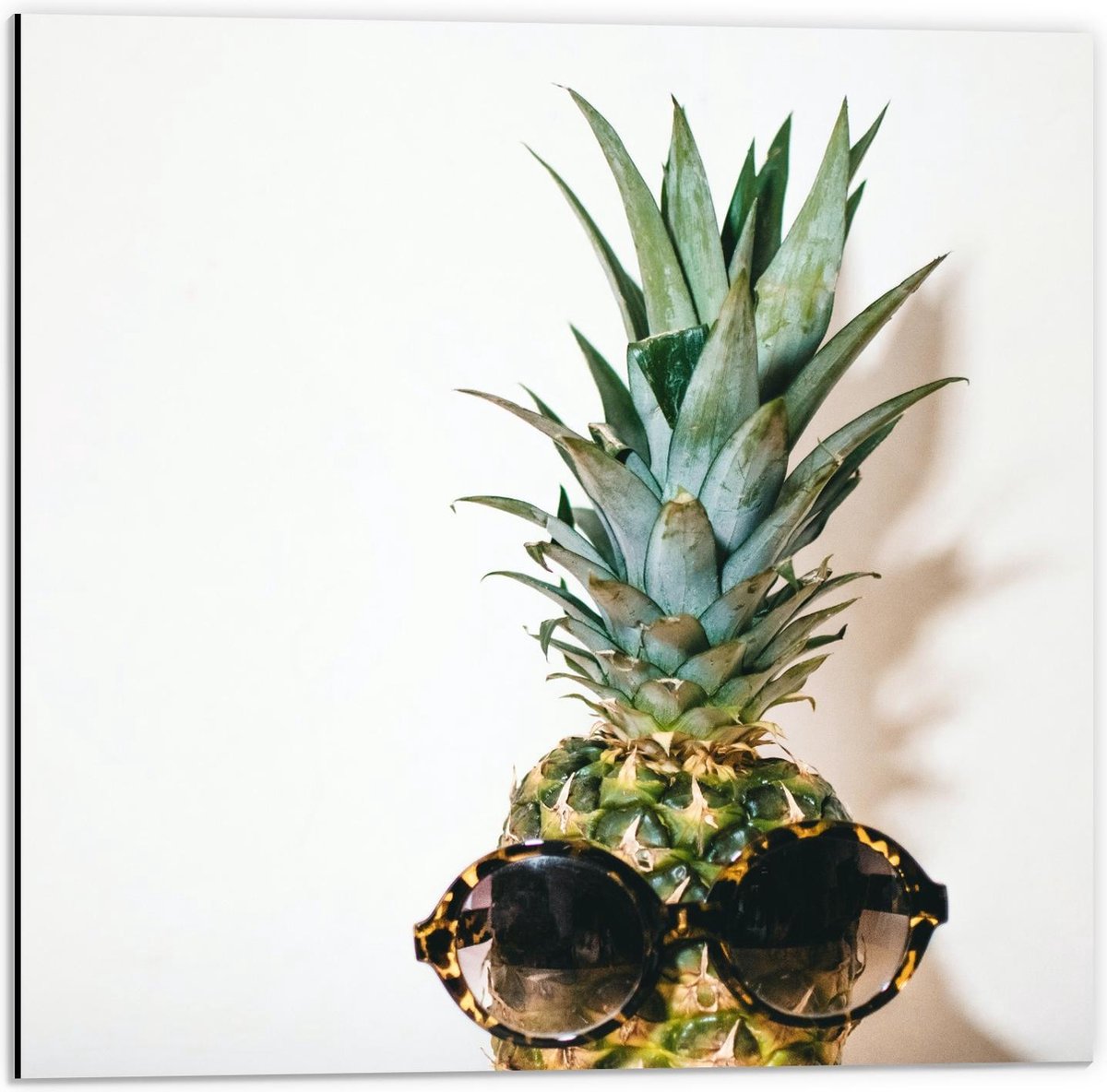Dibond - Ananas met Hippe Zonnebril - 50x50cm Foto op Aluminium (Wanddecoratie van metaal)
