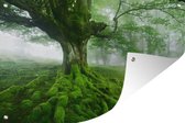Tuindecoratie Boom in de mist - 60x40 cm - Tuinposter - Tuindoek - Buitenposter