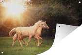 Tuindecoratie Paarden - Bos - Zon - 60x40 cm - Tuinposter - Tuindoek - Buitenposter