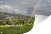 Muurdecoratie De schapen op een weiland naast een regenboog - 180x120 cm - Tuinposter - Tuindoek - Buitenposter
