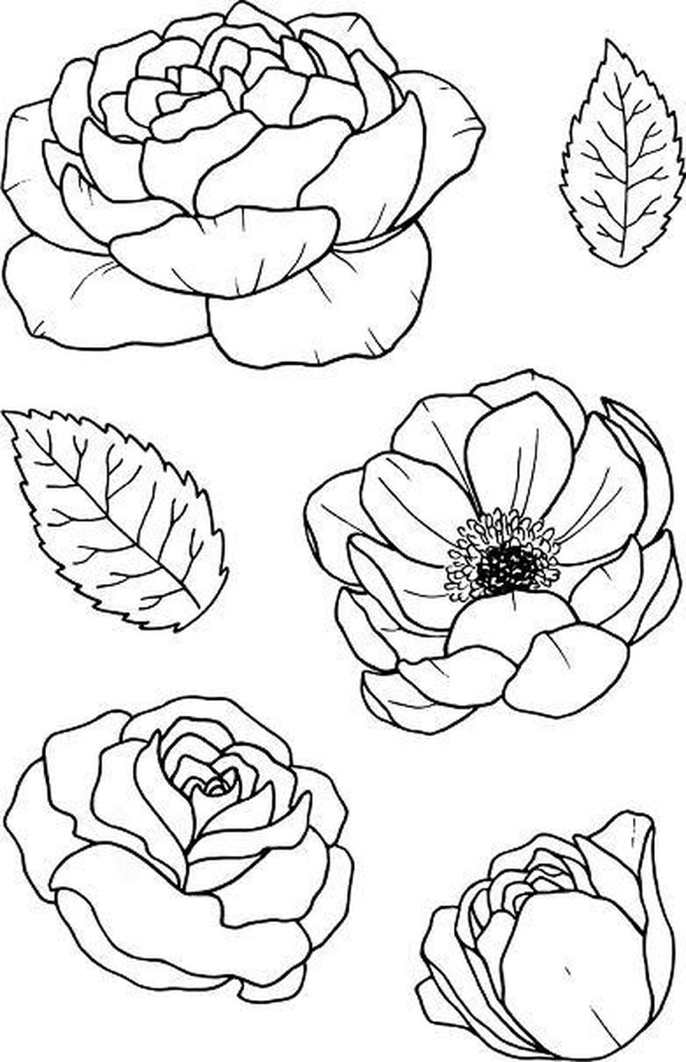 Bloom Clear Stamps (JD025) (DISCONTINUED)