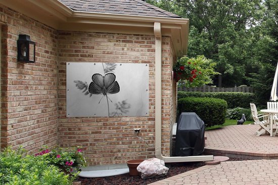 Affiche jardin - Toile jardin - Posters de jardin extérieur - Papillon bleu - noir et blanc - 120x80 cm - Jardin