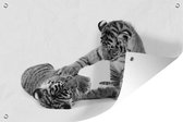 Affiche de jardin Jouer aux petits tigres - noir et blanc - 120x80 cm - Jardin