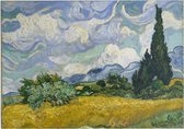 Korenveld met cipressen, Vincent van Gogh - Foto op Forex - 70 x 50 cm (B2)
