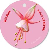 Tallies Cards - kadokaartjes  - bloemenkaartjes - Welkom kleine ukkepuk roze - Flowerpower - set van 5 kaarten - geboortekaart - geboorte - baby - in verwachting - 100% Duurzaam