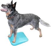 FitPAWS Dog Balance Ramp - 35cm - Aqua