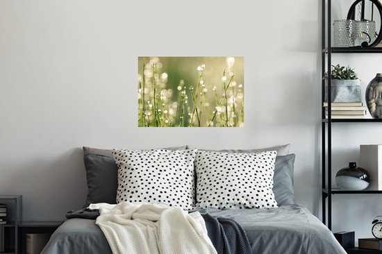 Sticker Muursticker Rosée précoce - Rosée précoce sur brins d'herbe - 60x40 cm - film adhésif autocollant - sticker mural repositionnable