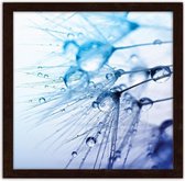 Foto in frame , Druppels op een paardebloem , 70x100cm , zwart blauw , Premium print